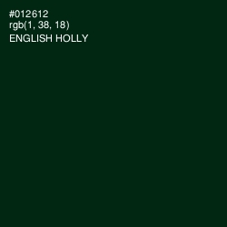 #012612 - English Holly Color Image